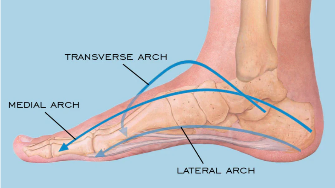 Mengenal 3 Tipe Arch Kaki: Mana yang Paling Berisiko Cedera?